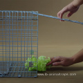 Collapsible Live Animal Trap Catch